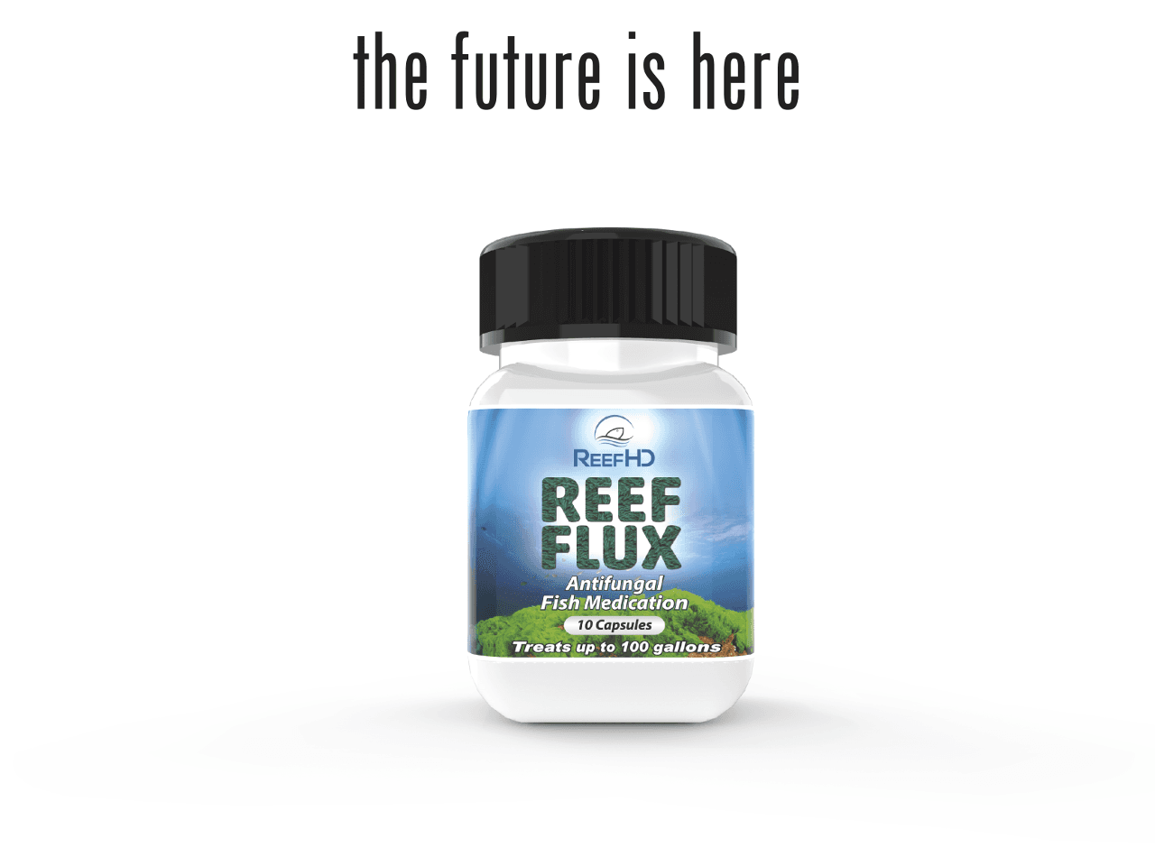 Reef Flux